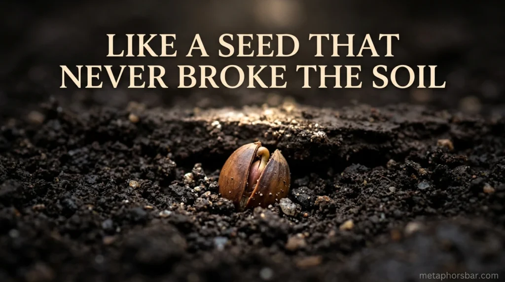 Like a Seed That Never Broke the Soil
