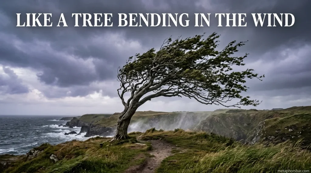 Like a tree bending in the wind