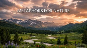 Metaphors for Nature