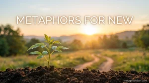 Metaphors for New