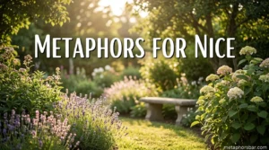 Metaphors for Nice