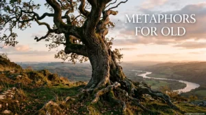 Metaphors for Old