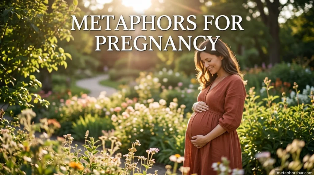 Metaphors for Pregnancy