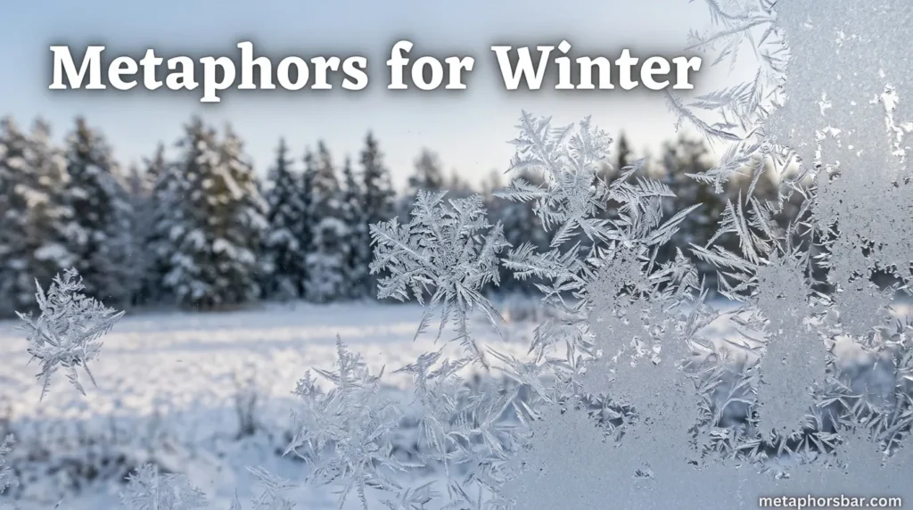 Metaphors for Winter