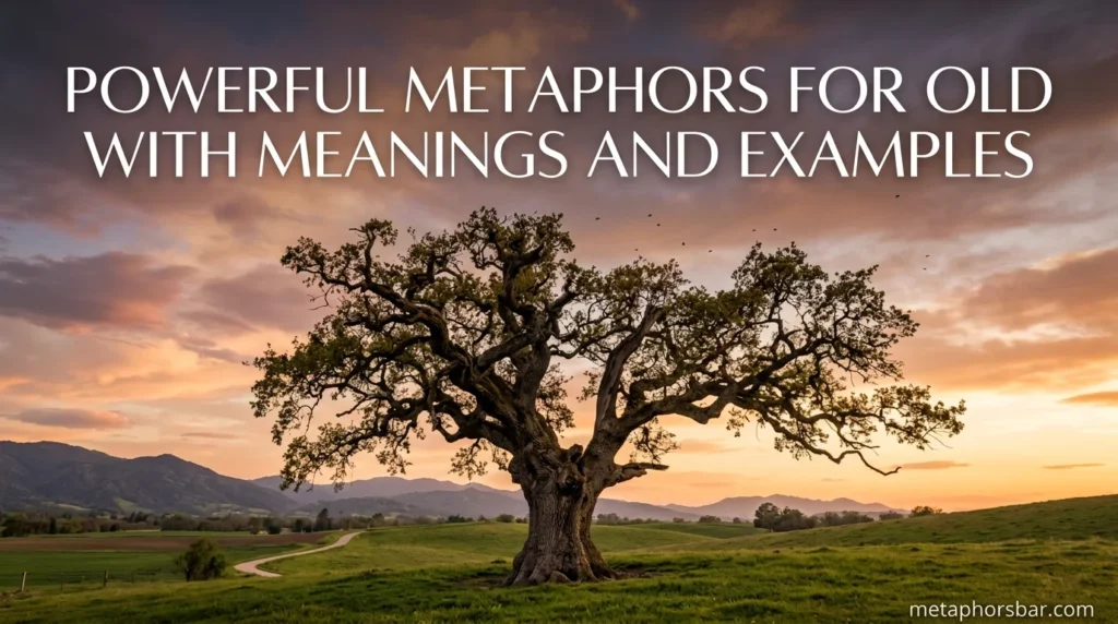 Powerful Metaphors for Old With Meanings and Examples