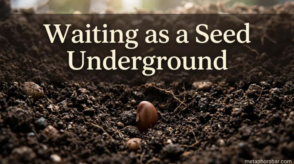 Waiting as a Seed Underground