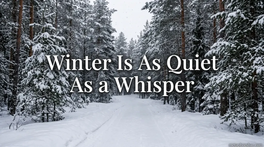 Winter Is As Quiet As a Whisper