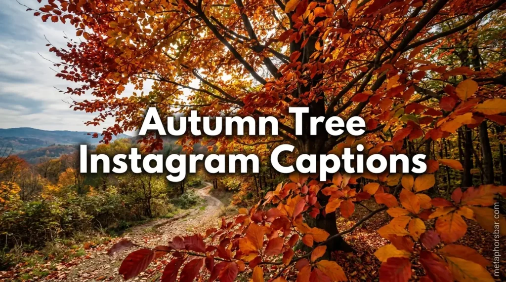 Autumn Tree Instagram Captions