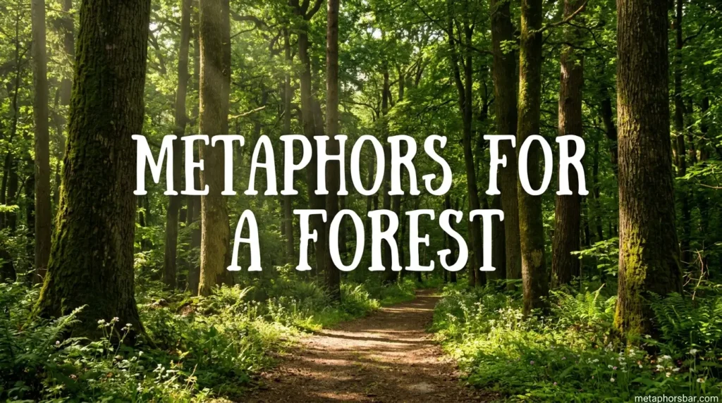 Metaphors for a Forest