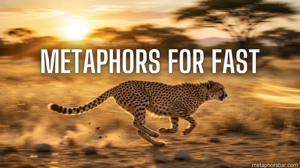 Metaphors for Fast