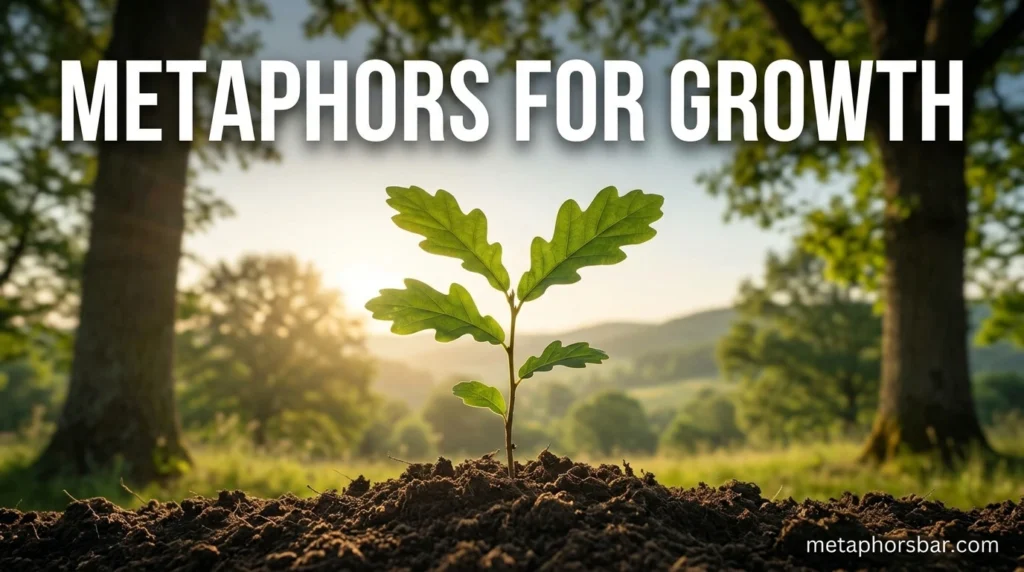 Three Powerful Metaphors for Growth