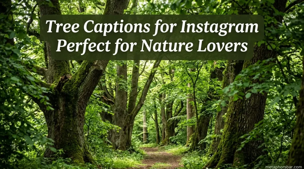 Tree Captions for Instagram Perfect for Nature Lovers