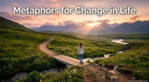 Metaphors for Change in Life