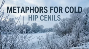 Metaphors for Cold